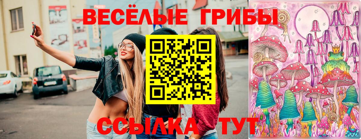 Псилоцибиновые грибы GOLDEN TEACHER Ахтубинск