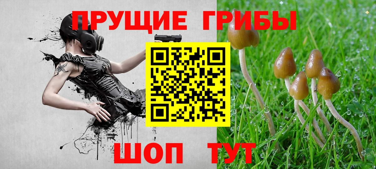 Ахтубинск  Псилоцибиновые грибы мухоморы  Вход с VPN 