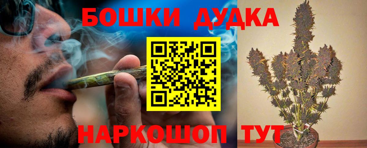 Шишки марихуана планчик  Вход с VPN  Бошки марихуана Bruce Banner  Шишки марихуана THC 21%  Ахтубинск 